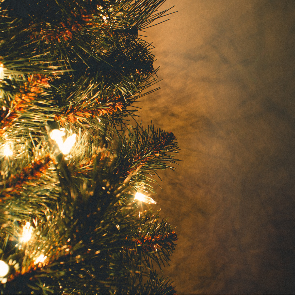 Le Sapin Lumina LED intégré